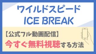 【完全無料動画】ワイルドスピード ICE BREAKを今すぐフル視聴する方法！キャストや他のシリーズ作品もイッキ見できる！
